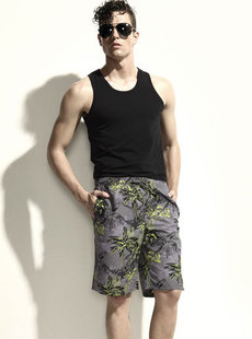 Dream Basha men's swimwear new 2012 hot passion of Hawaii Beach pants 013412213