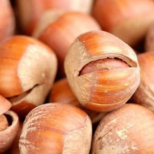  农家 开口榛子 开口少 更香脆 东北 榛子原味 美国大榛子5件包邮