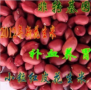  年新上市杂粮红皮花生米 红衣花生米 红皮花生仁 补血养胃