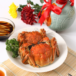  阳澄湖大闸蟹公螃蟹2.8-3.1两2只 母2.2-2.5两8只共10只装包邮