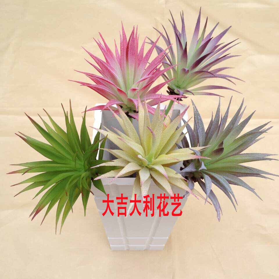 剑草小草绿色植物 zakka杂货多肉小盆栽仿真花假花芦荟家居装饰花在类目 鲜花速递/花卉仿真/绿植园艺, 仿真花/绿植/蔬果成品(新), 仿真绿植中 - 来自Buy2taobao.com提供专业的淘宝代购服务
