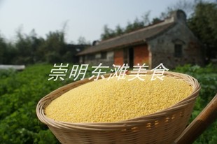  崇明 五谷杂粮 农家黄小米 粗粮 产后月子及养胃首选 宝宝可食用
