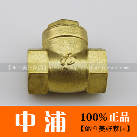 Клапан обратный Indesen 401 DN15202532405065 Клапан обратный Indesen 401 DN15202532405065