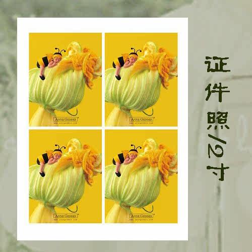 <em>网上照片</em>冲印2寸<em>证件</em>照1版4张 <em>洗照片</em> 免费淋
