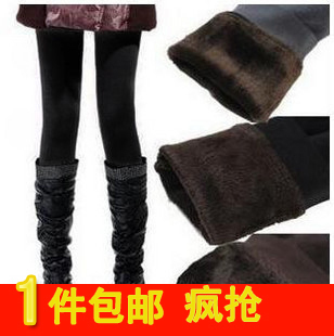  不起球冬季高腰大码加厚加绒保暖裤 女外穿不倒考拉绒打底裤包邮