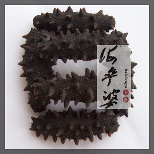  大连淡干海参，野生刺参，70-74头参龄5年，超干燥超实惠，50g