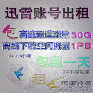 迅雷出租 迅雷账号出租一天 包租24小时 高速通道流量30G 离线1PB
