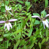 淘宝精品商城<em>金菊</em>上海<em>金菊</em>花<em>羊毛衫</em>修身显瘦气