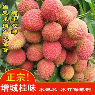 荔枝预售 广东特产天然新鲜水果正宗增城桂味