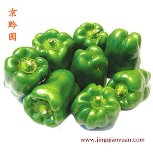  【京黔园】绿色食品优质蔬菜 菜辣椒 柿子椒 北京买菜当天送到家