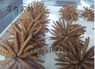  中药材 冬虫夏草虫草 西藏那曲特产 5.5-6条每克