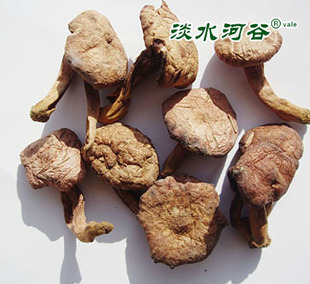  淡水河谷 蘑菇 原生态松伞蘑 东北野生蘑菇 地道东北土特产干货