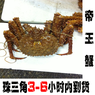  新鲜  鲜活 海鲜阿拉斯加蟹 帝王蟹 长脚蟹 大螃蟹