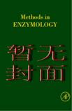 taobao english 10495508163