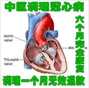 天然调理 冠心病 心脏供血不足 心律不齐 心悸心慌 胸闷 无效退款