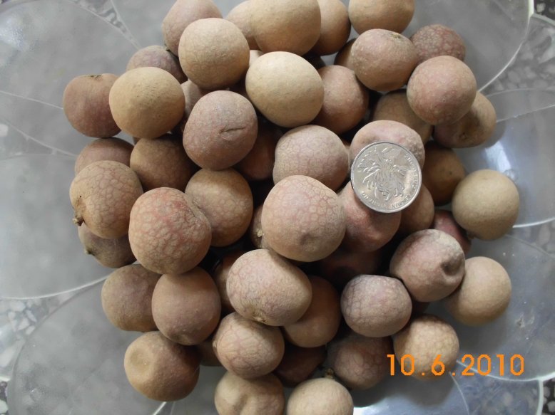 桂圆干 农家土特产干桂圆500克在类目 粮油米面/南北干货/调味品, 南北干货/肉类干货, 干货/土特产, 桂圆干/龙眼中 - 来自Buy2taobao.com提供专业的淘宝代购服务