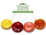 美国YummyEarth天然纯果浆有机棒棒糖8种水果口味 10g/支随机送