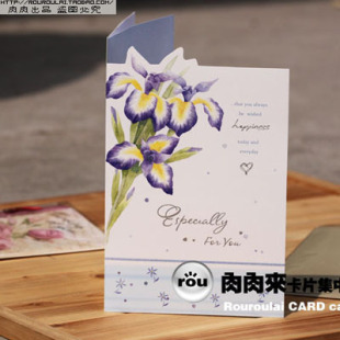  8085淡彩雅卉系列 生日贺卡+感谢感恩卡+祝福贺卡片 DK-806(八款)