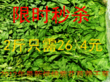 taobao english 3916265902