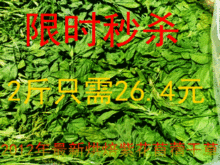 2012年最新苜蓿草苜蓿干草1000g《箱装》热风烘烤出炉嫩香叶多