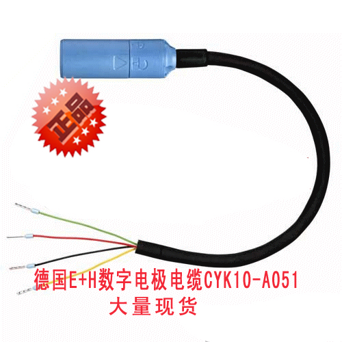 德国E+H数字电极电缆CYK10-A051正品保证现货在类目 五金/工具, 仪器仪表, 其它仪表仪器中 - 来自Buy2taobao.com提供专业的淘宝代购服务
