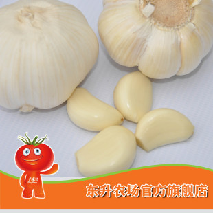  农场直供_东升蒜头_大蒜青菜调料_蔬菜配料 东升品质保证（150g）