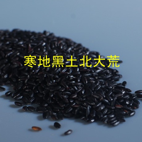 东北黑米 新黑米 黑大米 黑米新大米 500克 今年新米|msdalam kategori beras/Utara-Selatan barangan kering/perasa, meter/tepung/bijirin, RICE, beras hitam - dari Buy2taobao.com untuk memberikan perkhidmatan ejen Taobao profesional membeli