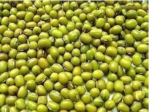 高安农家自种绿豆 新鲜绿豆6.9元500g 发豆芽 绿豆汤材料在类目 粮油米面/南北干货/调味品, 米/面粉/杂粮, 豆类, 绿豆中 - 来自Buy2taobao.com提供专业的淘宝代购服务