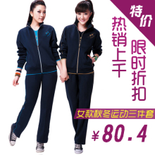 清仓 2012时尚运动服套装女春秋中老年妈妈装运动套装三件套67008