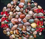 taobao english 13638859456