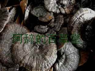  特级正品紫灵芝整枝 58元250克 降血糖血脂抗肿瘤 泡茶不苦半野生