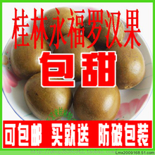 广西桂林罗汉果中果  罗汉果茶 治咽炎 产地批发 特价 0.68一个