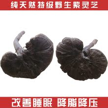 云南野生紫灵芝250克排毒抗癌/降脂降压 2件免邮 不好包退