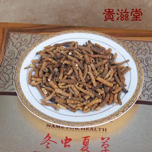  【贵滋堂】西藏那曲虫草优质统货断草肉节冬虫夏草中条