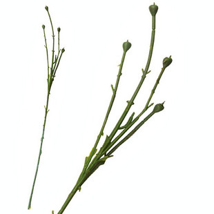 Silk flowers Material rose Flower rod Peony rod 82cm green Ground rod GM spent rodsin the Flower delivery/Flowers simulation/Plants gardening , DIY Artificial flowers material , Production of materials (New) , Flower rod category - from Buy2taobao.com to provide professional Taobao agent buy service