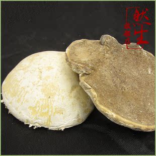  然生 云南野生白灵芝 纯天然的养生滋补品