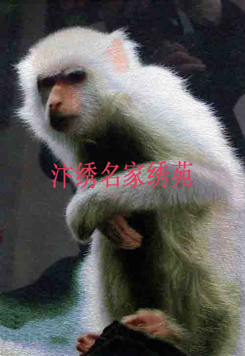 手工刺绣礼品白猕猴非常精细高级工艺师绣品 汴绣别墅挂画|msdalam kategori rumah Fabrik, sulaman Kit, sulaman - dari Buy2taobao.com untuk memberikan perkhidmatan ejen Taobao profesional membeli