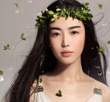 护发圣品 日本椿树油/山茶花油/苦茶油 100ml