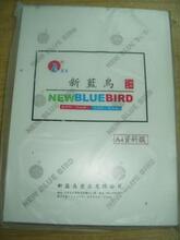 ★新蓝鸟 A4 6C(丝) 相片塑封套/保护膜/过塑膜/塑封膜