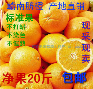 老表江西赣南脐橙信丰安西脐橙甜橙子新鲜水果特产20斤标准果包邮