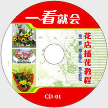马克花艺教程/马克花艺教学光盘/视频花束4张，插花4张，婚礼8张