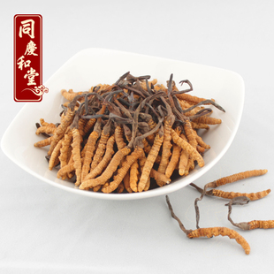  同庆和堂 正品青海玉树冬虫夏草 5条/克 特价包邮新草同仁堂级别