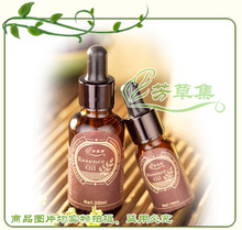芳草集美胸调理精油（强化）
