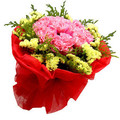 郑州实体鲜花情人节 生日礼品 蛋糕速送 三八节母亲节 康乃馨30朵