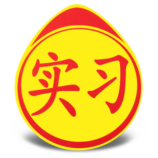 新手实习标志 新手上路标志 新手汽车贴纸在类目 汽车/用品/配件/改装, 汽车外饰品/加装装潢/防护, 汽车外饰品, 汽车装饰贴中 - 来自Buy2taobao.com提供专业的淘宝代购服务