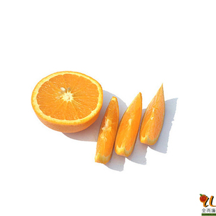  全而廉 美国橙 南非橙 甜橙脐橙 新奇士橙 进口 新鲜水果 4只装