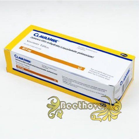 Antibiotics, Pfizer clavamox dogs and cats, the ∮ Beethoven pets ∮ 62.5mg cold nose support 14 / plate