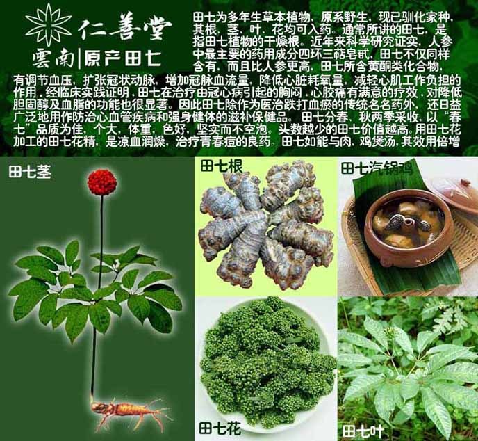 仁善堂 】 系列西洋参药材,采用云南原产地野生种植.质量可靠.