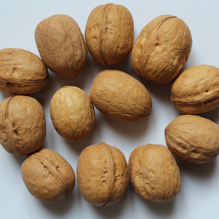  新货 核桃 皮薄 新疆特产 坚果零食特产干货 新疆纸皮核桃250克