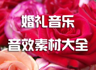 婚礼音乐、音效素材 种类齐全 冲钻特价